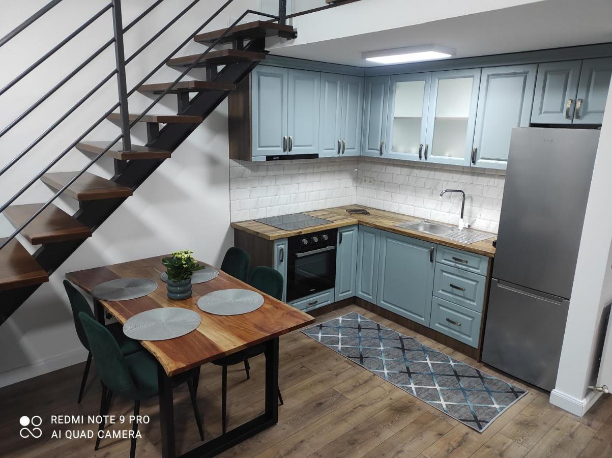 Cozy Loft Apartament Sighetu Marmaţiei Extérieur photo