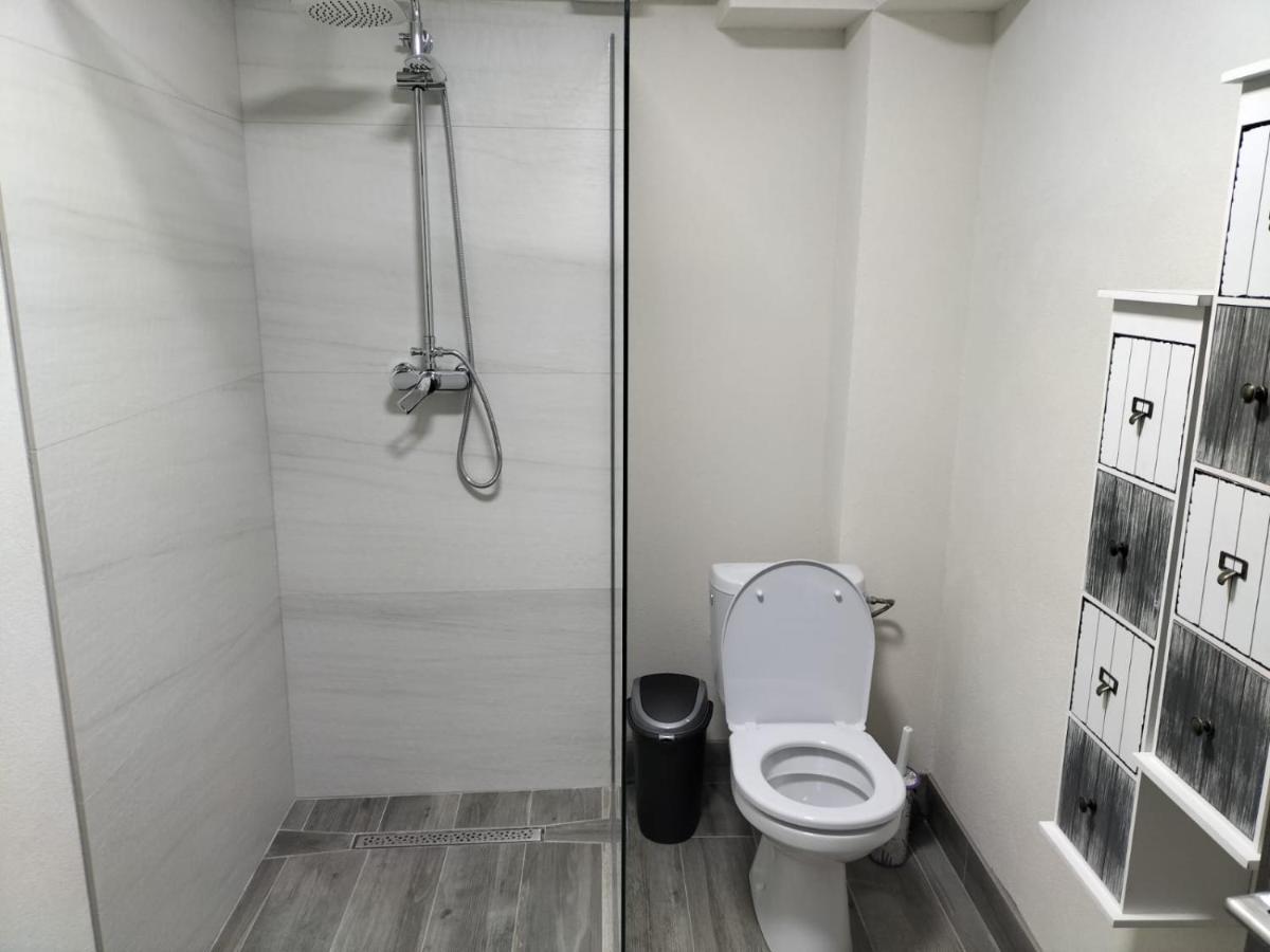 Cozy Loft Apartament Sighetu Marmaţiei Extérieur photo