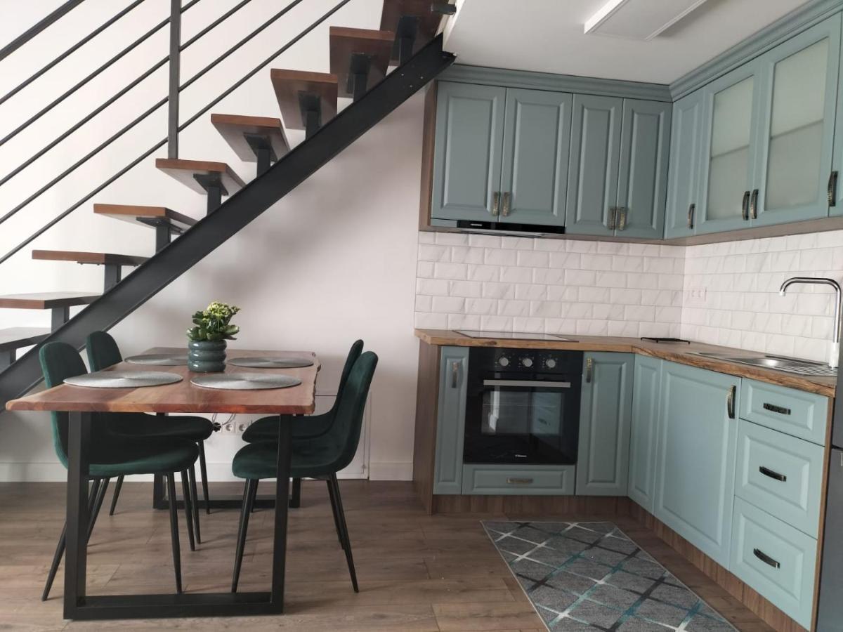 Cozy Loft Apartament Sighetu Marmaţiei Extérieur photo