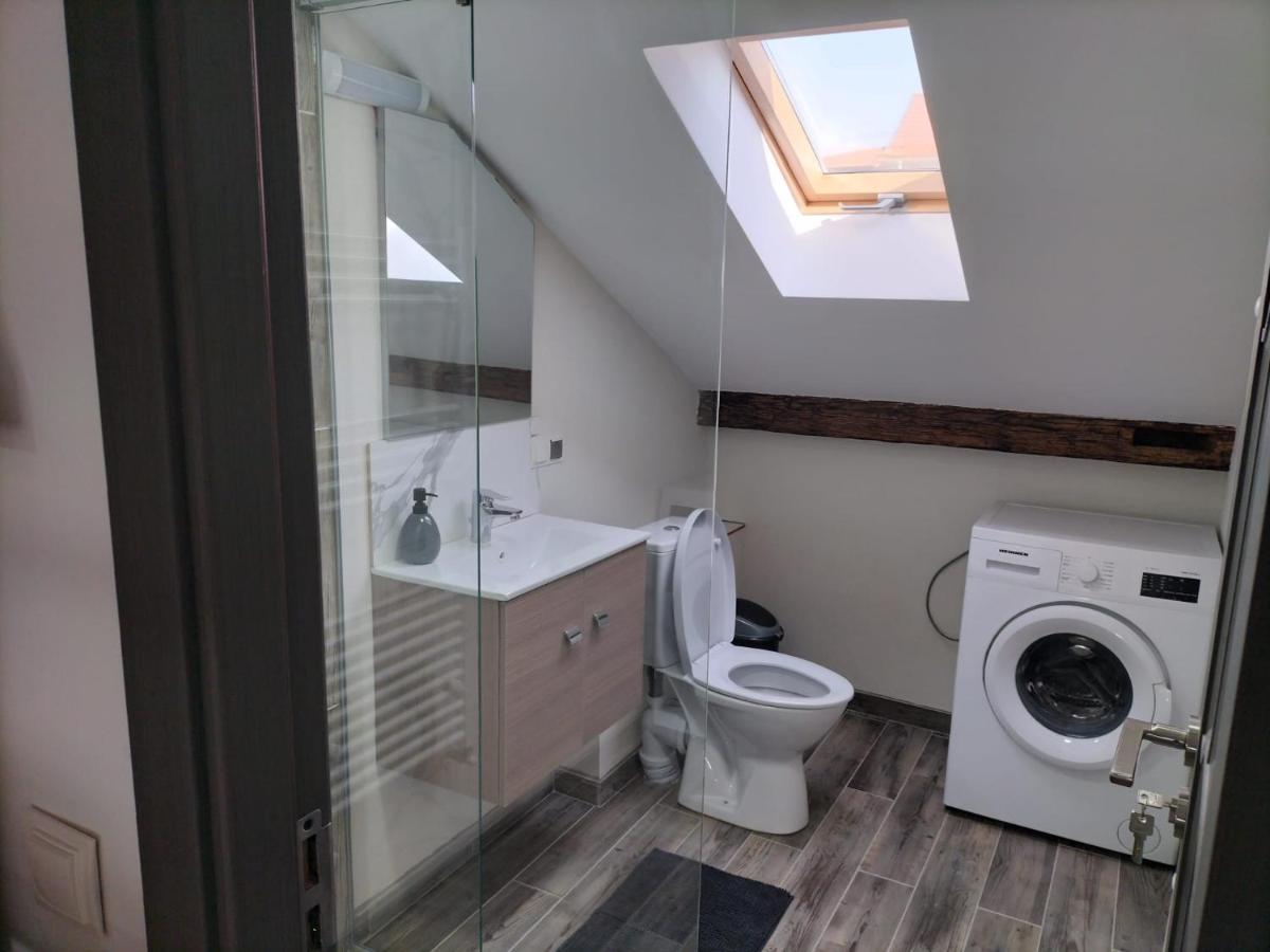 Cozy Loft Apartament Sighetu Marmaţiei Extérieur photo